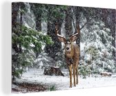 Cerfs communs avec de grands bois dans la neige 60x40 cm - Impression photo sur toile peinture (Décoration murale salon / chambre à coucher) / Mammifères toile Peintures