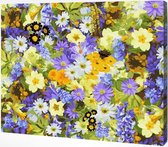 Arty Bee® Peinture par nombre d' Adultes - Peinture par numéro - Paquet de Hobby sur cadre avec vernis - Fleurs colorées 50x40cm
