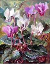 Cadeaukaart Cyclamen 7,5x9,5cm