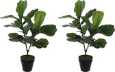 2x stuks groene ficus Lyrata kunstplant 75 cm voor binnen -  kunstplanten/nepplanten/binnenplanten met pot