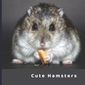 Cute Hamsters