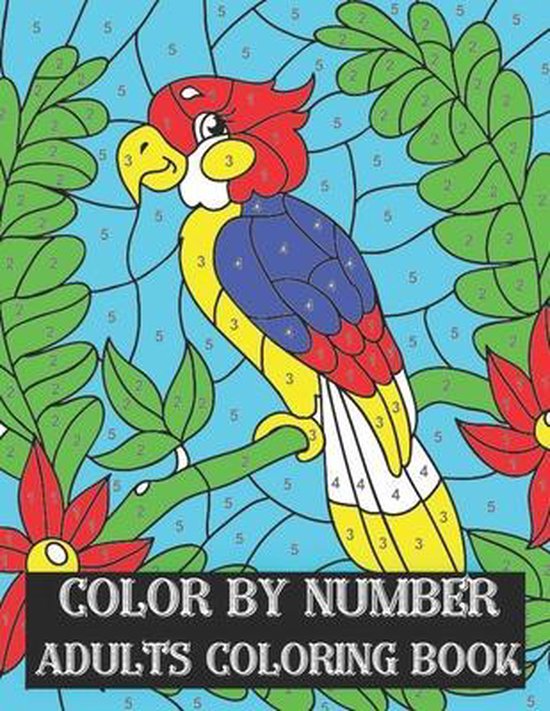 Color By Number Adults Coloring Book, Dorothy Pelletier 9798735579588