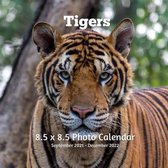 Tigers 8.5 X 8.5 Calendar September 2021 -December 2022