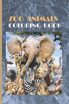 Zoo animals coloring book