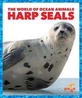 The World of Ocean Animals- Harp Seals