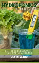 Hydroponics For Beginners