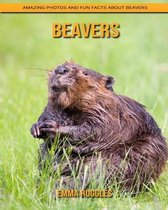 Beavers