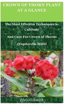 Crown Of Thorn Plant At A Glance: The Most Effective Techniques to Cultivate And Care For Crown of Thorns (Euphordia Milii)