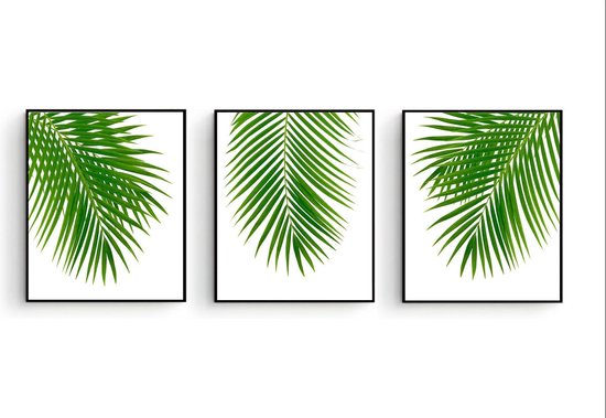 Poster Set 3 Palmboom bladeren Groen - Tropische Bladeren - Planten Poster - Muurdecoratie - 50x40cm - PosterCity