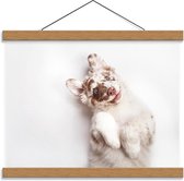 Schoolplaat – Schattige Gevlekte Hond - 40x30cm Foto op Textielposter (Wanddecoratie op Schoolplaat)