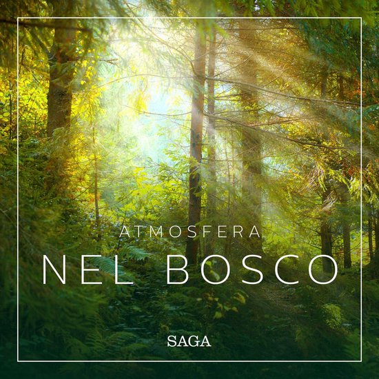 Atmosfera - Nel bosco - cover