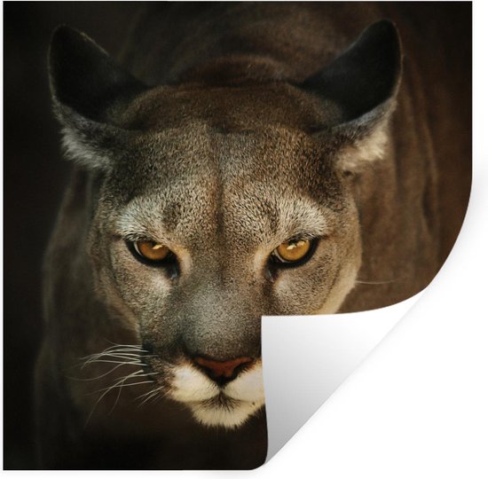 Sticker Muursticker Puma -Puma en position de chasse aux yeux jaunes -  120x120 cm -... | bol.com
