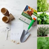 DIY moestuin kruiden pakket