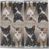 Esschert Design Servetten Kittens 33 Cm Papier Grijs 3-laags