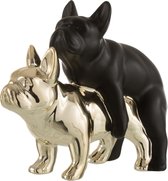 J-Line Bulldog Koppel Keramiek/Zwart Goud Small