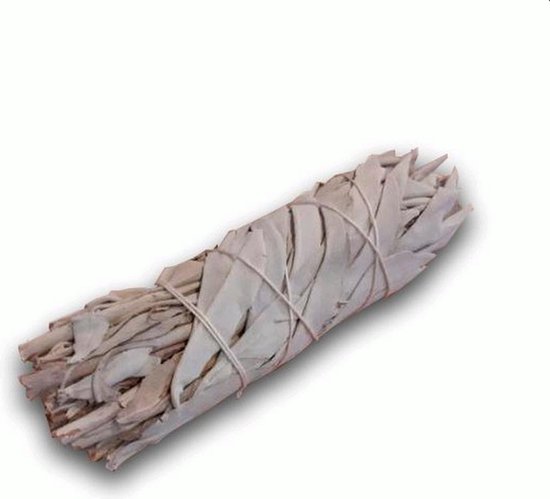 Witte Salie - white sage - smudge stick - 1 stuk - 10cm - meditatie - yoga - huis reiniging - zuivering