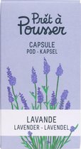Lavendel capsule - compatible met een Prêt à Pousser