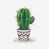 borduurpakket cactus