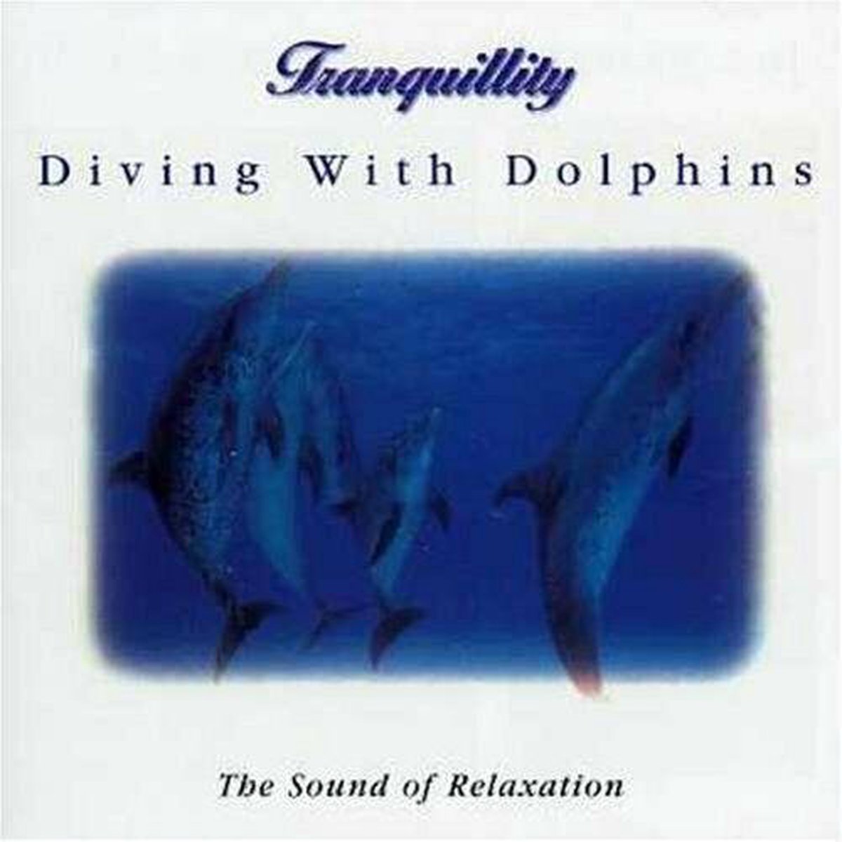 Tranquility: Diving with Dolphins