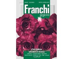 Fr Cichorei, Cicoria Rossa di Verona Tardiva 40/72