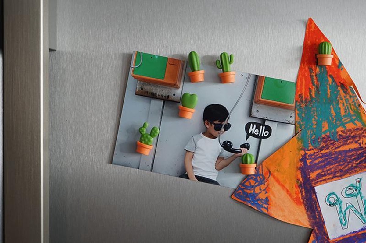 CactusMagnet Qualy 6pcs