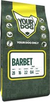 Yourdog barbet pup (3 KG)