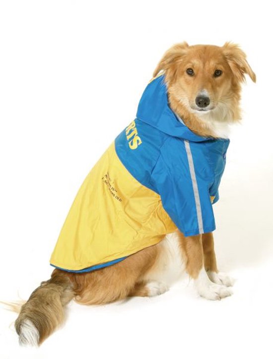 Zittende hond met gele en blauwe regenjas. Jas heeft capuchon, 'SPORTS' opdruk en reflecterende strepen.