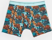 WE Fashion Heren boxershort met Hollands dessin