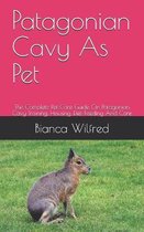 Patagonian Cavy As Pet