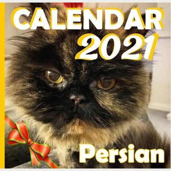 Persian Cats calendar 2021, Cats 2021 Pro 9798593968807 Boeken