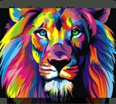 Diamond painting regenboog leeuw kleurrijk 40x50 Vierkante Steentjes