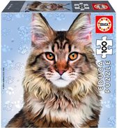 EDUCA - 18805-100 Maine Coon