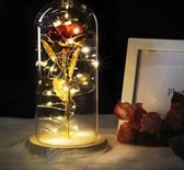 TibaGoods Gouden decoratie roos in stolp - Met LED verlichting
