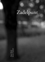 Zadelpunt