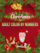 Christmas Adult Color By Numbers