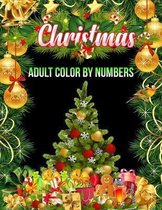 Christmas Adult Color By Numbers