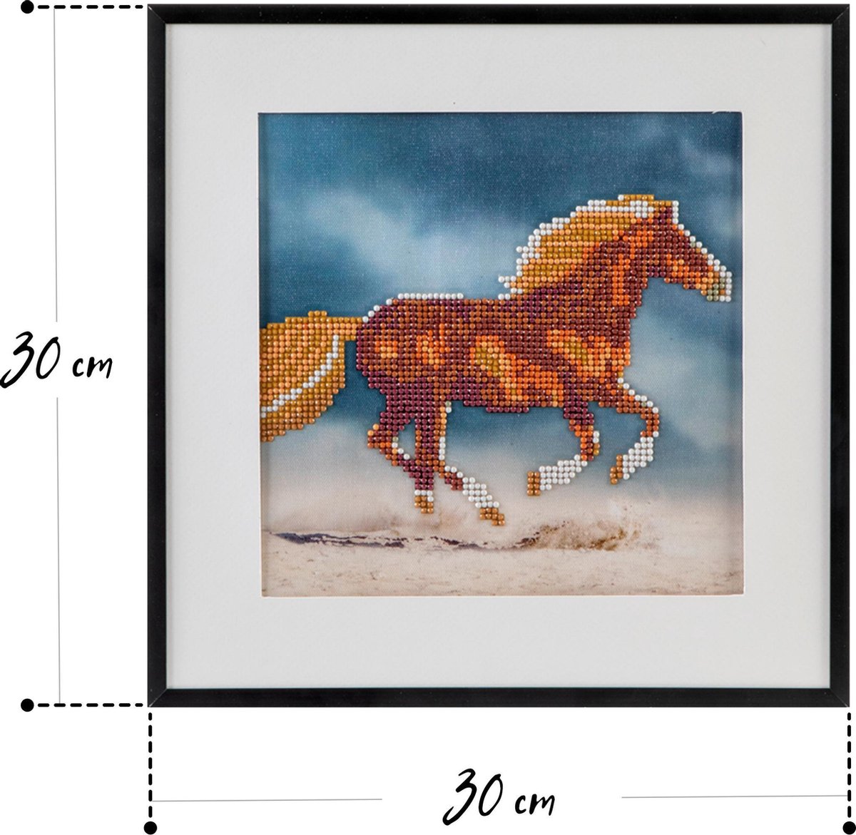 Diamond painting | Paard | Afmeting: 30 x 30 CM | Inclusief diamond painting pen | Diamond painting volwassenen