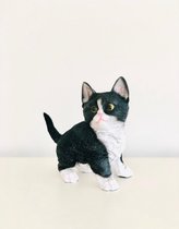 Kat - kitten - poes - zwart & wit - polyester -polystone - beeld - tuinbeeld - hoogkwalitatieve kunststof - decoratiefiguur - cadeau - geschenk