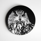 IDecorate - Schilderij - Uil Exclusive Animals - Zwart En Wit - 120 X 120 Cm
