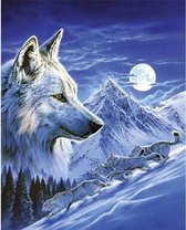 Premium Paintings - Diamond Painting Volwassenen - Gemaakt van gerecycled plastic - Wolf - 30x40