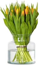 Multicolour (warm) tulpen - 100 stuks