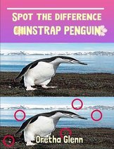 Spot the difference Chinstrap Penguin