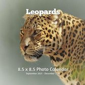 Leopards 8.5 X 8.5 Calendar September 2021 -December 2022: Monthly Calendar with U.S./UK/ Canadian/Christian/Jewish/Muslim Holidays Big Cats Animals N