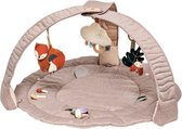 Activity gym