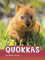 Animals- Quokkas