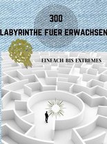 300 Labyrinthe Fuer Erwachsene Einfach Bis Extremes