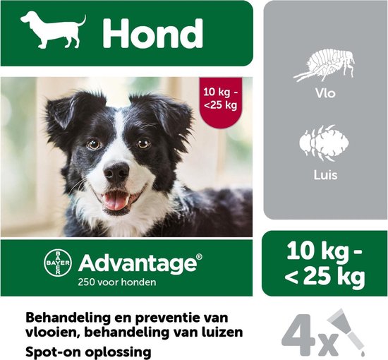 demonstratie Denken Bedrog Bayer Advantage 250 Vlooiendruppels Hond 10-25 kg - 4 Pipetten | bol.com
