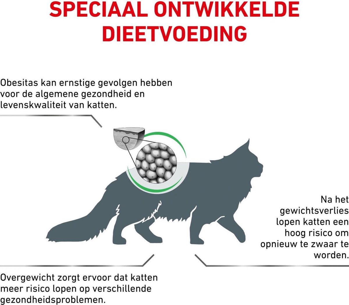 Royal Canin Satiety Weight Management - Kattenvoer - 6 kg | bol.com