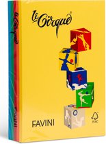 Le Cirque A4 papier 80 g/m2 500 vel in 5 felle tinten FAVINI made in Italy inkjet kopieer laserjet 100 vel per kleur