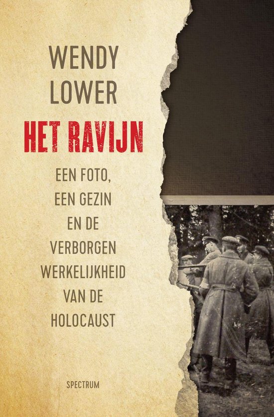 Het ravijn - cover